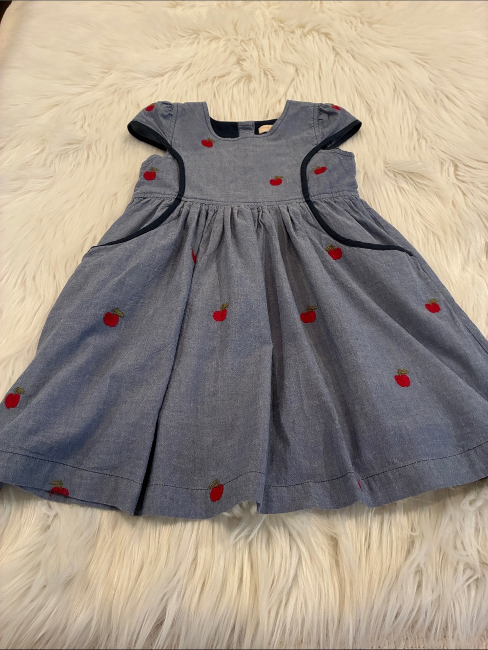 Pink Chicken Girls Blue Chambray Embroidered Apple Gianna Dress